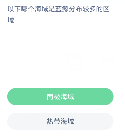 蚂蚁森林神奇海洋4月8日：以下哪个海域是蓝鲸分布较多的区域