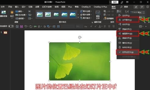 PPT怎么插入的图片放到幻灯片中间位置_PPT中插入的图片放到幻灯片正中间位置的操作