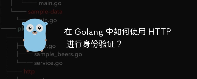 在 Golang 中如何使用 HTTP 进行身份验证？