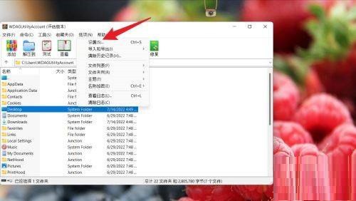 WinRAR怎么设置查看器类型 WinRAR设置查看器类型的方法