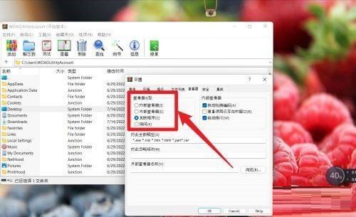 WinRAR怎么设置查看器类型 WinRAR设置查看器类型的方法