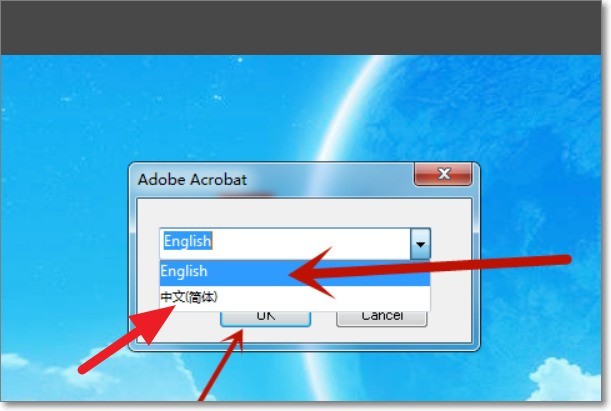 adobe acrobat x pro怎么设置语言 Adobe Acrobat X Pro更改中文语言的方法