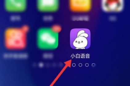 小白语音怎么打开悬浮球 打开悬浮球的操作方法