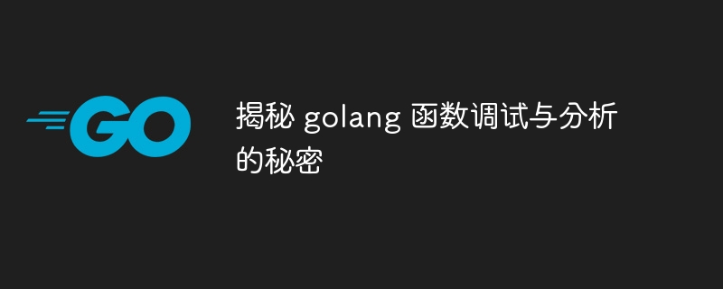 揭秘 golang 函数调试与分析的秘密