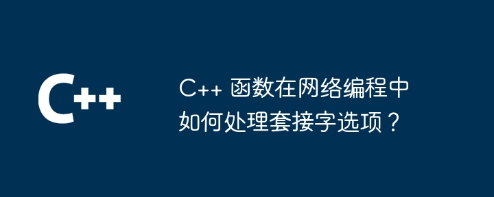 C++ 函数在网络编程中如何处理套接字选项？