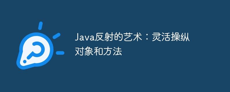 Java反射的艺术：灵活操纵对象和方法