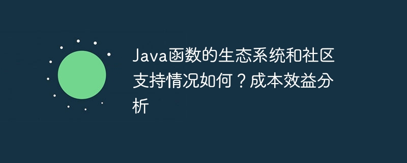 Java函数的生态系统和社区支持情况如何？成本效益分析