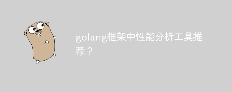 golang框架中性能分析工具推荐？