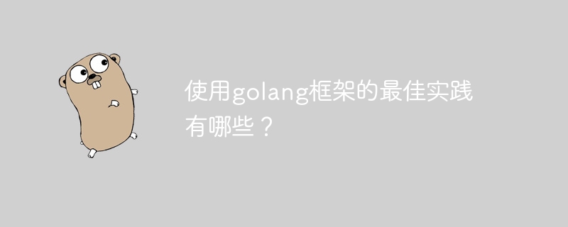 使用golang框架的最佳实践有哪些？