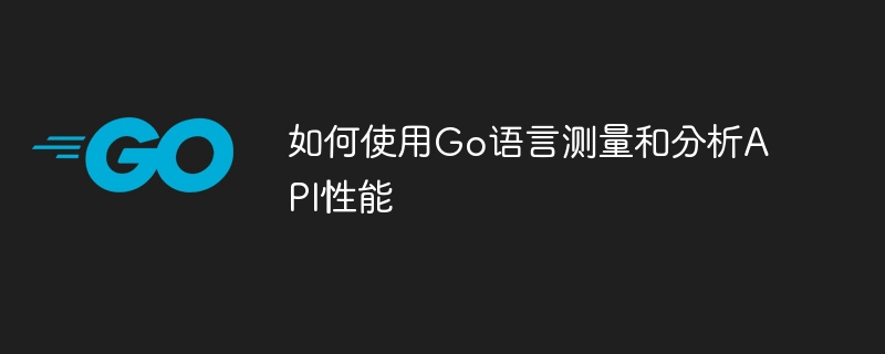 如何使用Go语言测量和分析API性能