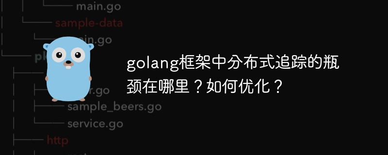 golang框架中分布式追踪的瓶颈在哪里？如何优化？