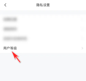 皮皮陪玩怎么显示徽章 皮皮陪玩显示徽章操作方法