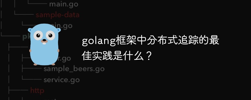 golang框架中分布式追踪的最佳实践是什么？