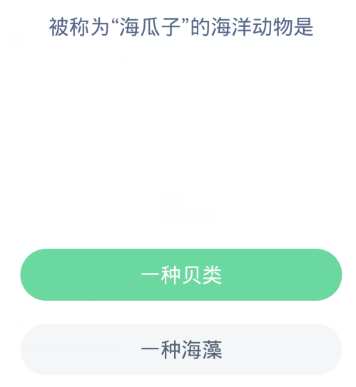 蚂蚁森林神奇海洋4月2日：被称为海瓜子的海洋动物是