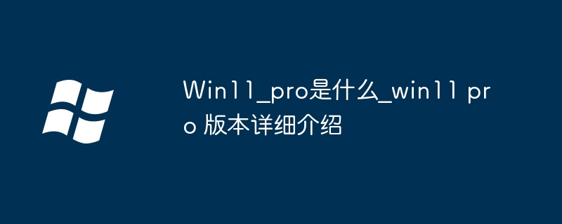 Win11 pro是什么_win11 pro 版本详细介绍