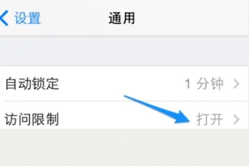 苹果手机appstore不见了怎么恢复