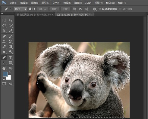 photoshop8.0怎么抠图_photoshop8.0抠图教程