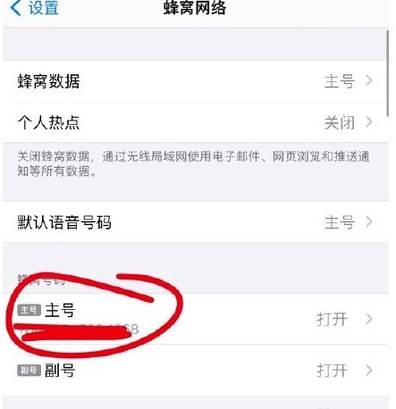 苹果12怎么开启volte功能_苹果12开启volte功能教程