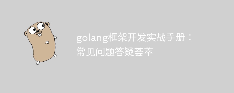 golang框架开发实战手册：常见问题答疑荟萃