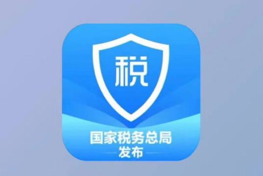 个人所得税app如何打印个人所得税清单