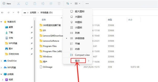 Win11怎么查看隐藏项目_Win11查看隐藏项目方法