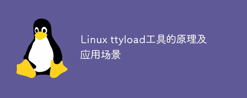 Linux中ttyload工具的运作方式及适用范围