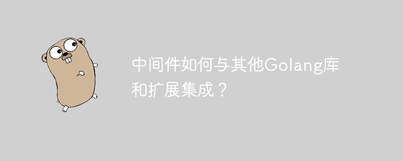 中间件如何与其他Golang库和扩展集成？