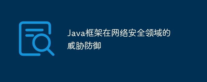 Java框架在网络安全领域的威胁防御