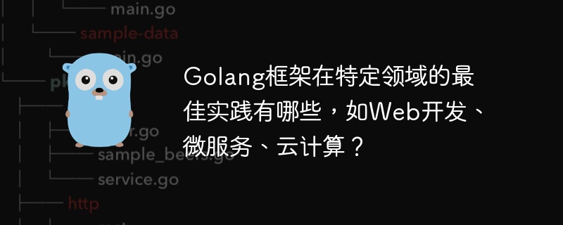 Golang框架在特定领域的最佳实践有哪些，如Web开发、微服务、云计算？