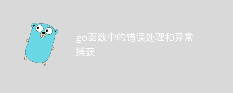 go函数中的错误处理和异常捕获