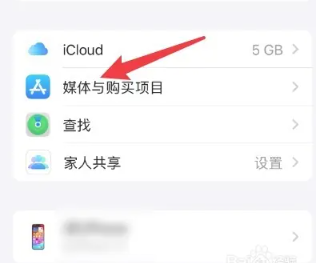 iphone手机如何取消下载密码保护