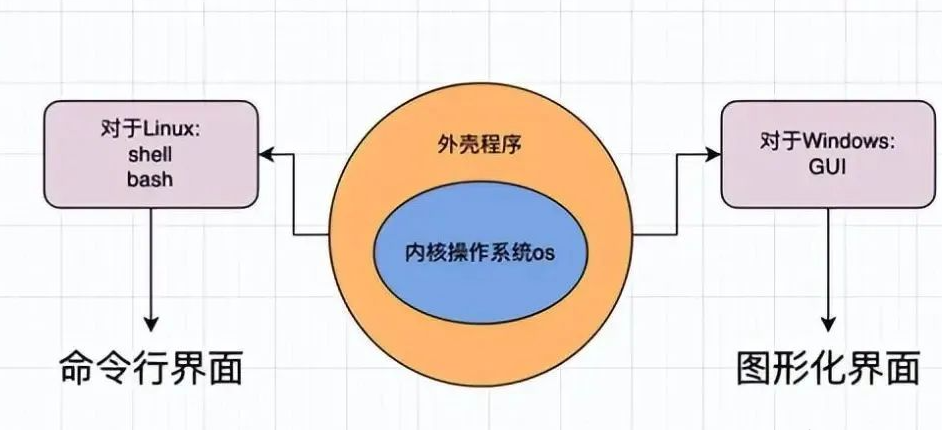 shell运行原理和Linux权限详解