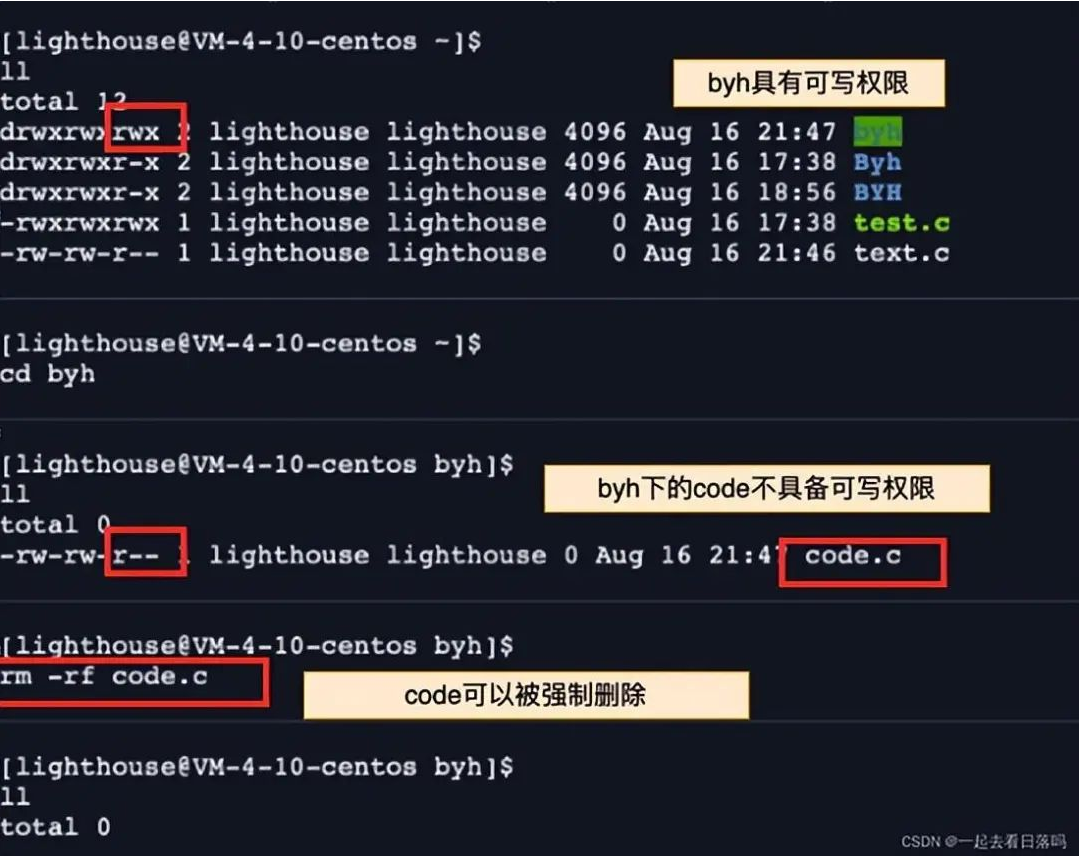 shell运行原理和Linux权限详解