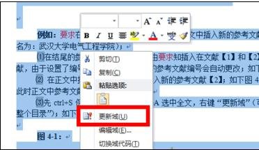 Word 2010加入引用文献的详细操作过程