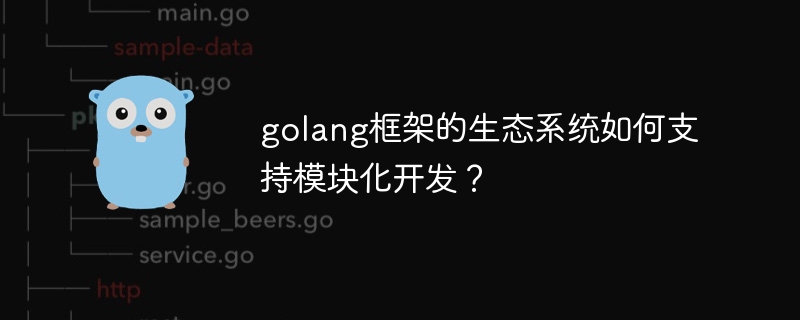 golang框架的生态系统如何支持模块化开发？