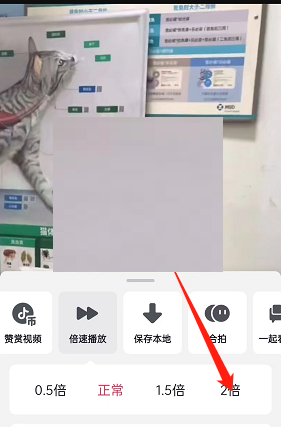 抖音怎么二倍速播放视频 抖音二倍速播放视频方法