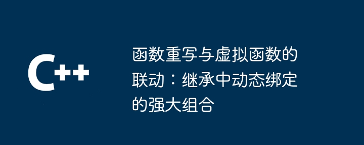 函数重写与虚拟函数的联动：继承中动态绑定的强大组合