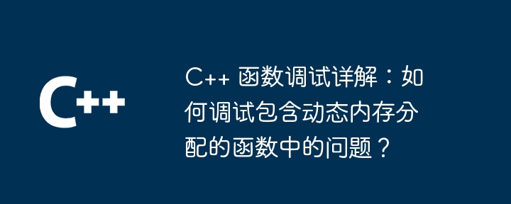 C++ 函数调试详解：如何调试包含动态内存分配的函数中的问题？