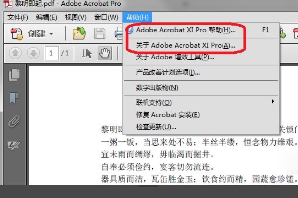 adobe acrobat x pro怎么编辑PDF内容 adobe acrobat x pro编辑PDF方法