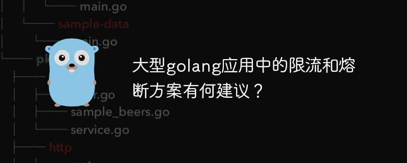 大型golang应用中的限流和熔断方案有何建议？