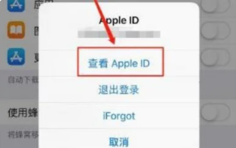 appstore扣款在哪里看