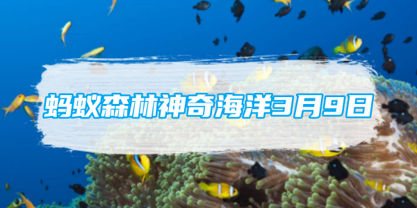 海洋奇观：3月9日探秘狮鬃水母的命名起源