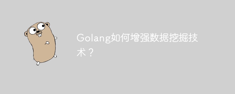 Golang如何增强数据挖掘技术？