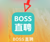 boss直聘怎么联系在线客服 boss直聘联系在线客服的方法