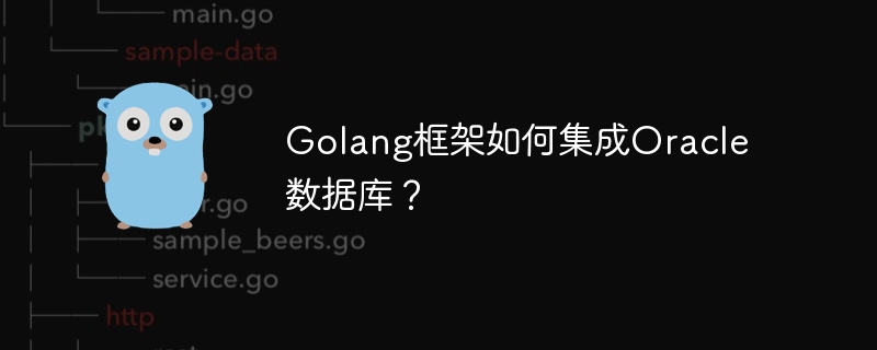 Golang框架如何集成Oracle数据库？