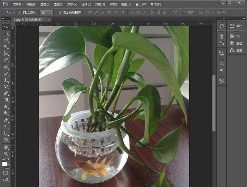 Photoshop在绿萝花瓶中合成小金鱼的图文方法