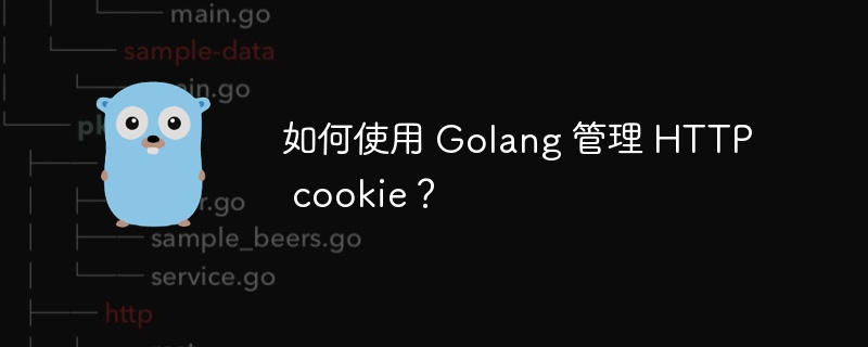 如何使用 Golang 管理 HTTP cookie？