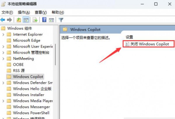 win11怎么彻底关闭Windows Copilot？win11完全关闭Windows Copilot方法详情