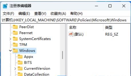 win11怎么彻底关闭Windows Copilot？win11完全关闭Windows Copilot方法详情