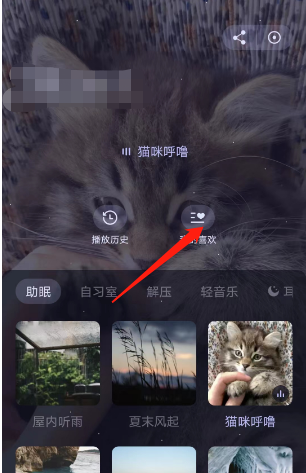 猫耳fm怎么在专注版块中添加喜欢的音频 添加喜欢音频的操作方法